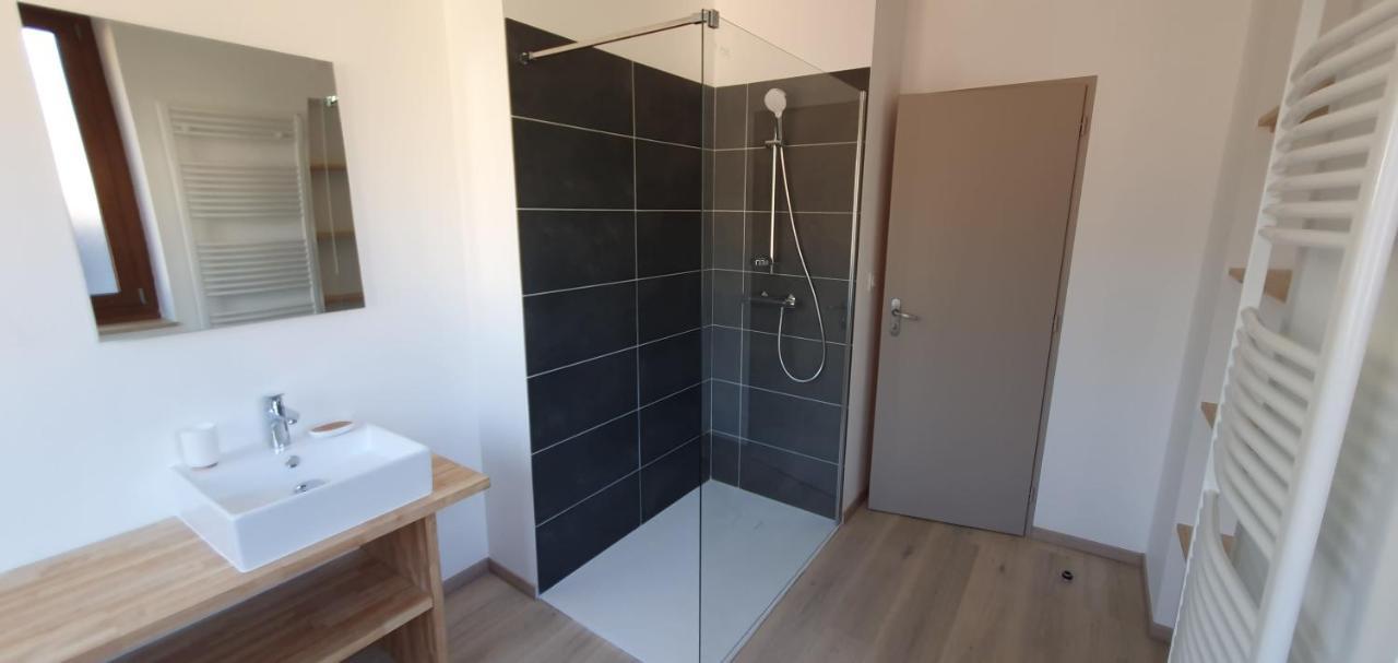 Maison De La Lionne Bagneres-de-Luchon Ngoại thất bức ảnh